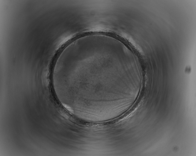 X0000102501213200809051338