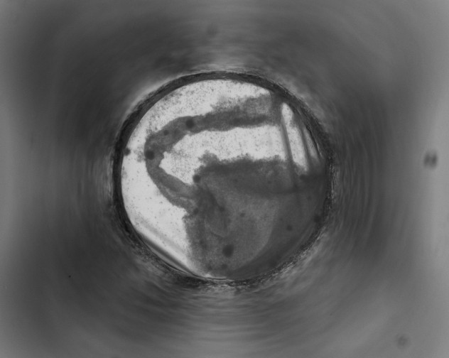 X0000102501214200809051338