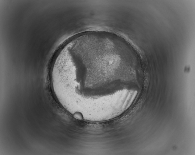 X0000102501215200809051338