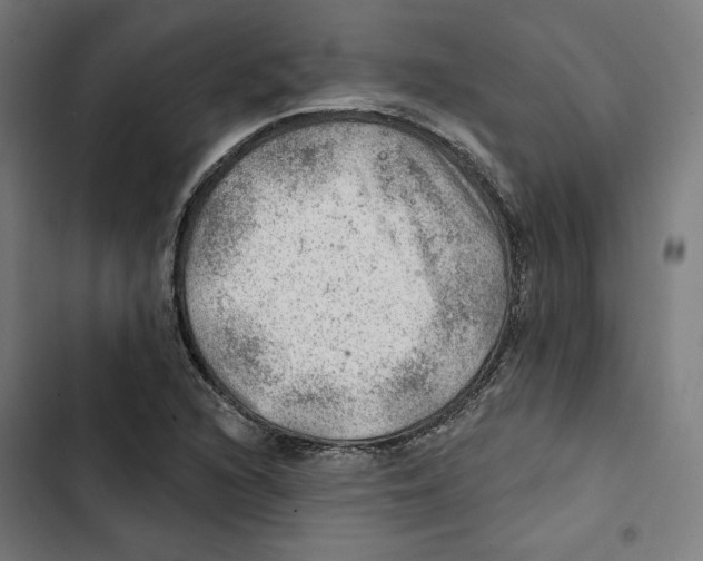 X0000102501216200809051338