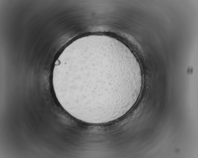 X0000102501217200809051338