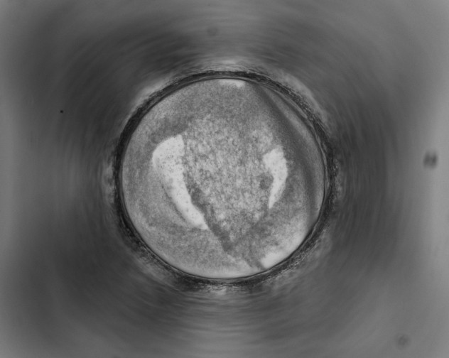 X0000102501218200809051338