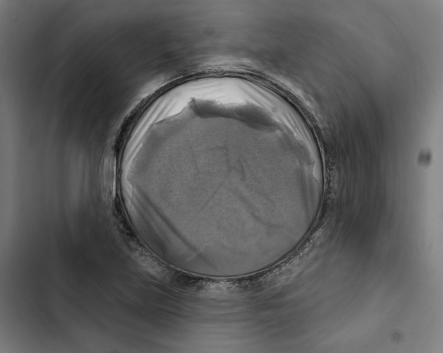 X0000102501219200809051338