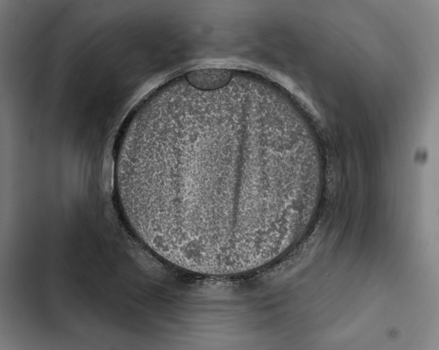 X0000102501221200809051338