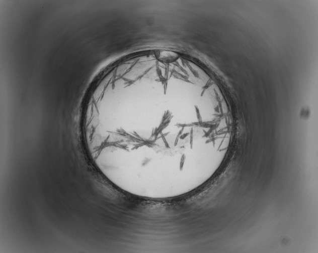 X0000102501222200809051338
