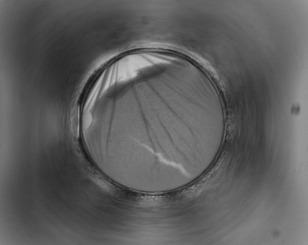 X0000102501223200809051338