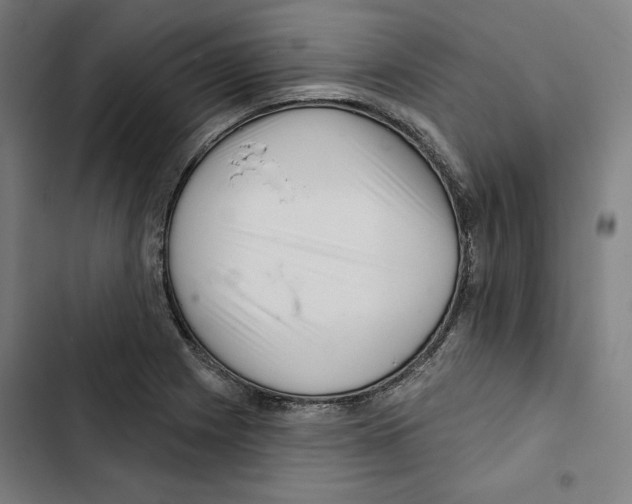 X0000102501225200809051338