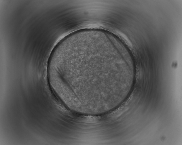 X0000102501226200809051338