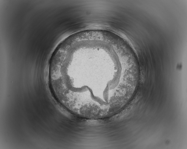 X0000102501227200809051338