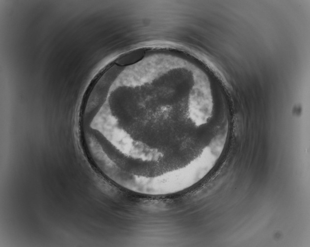 X0000102501229200809051338