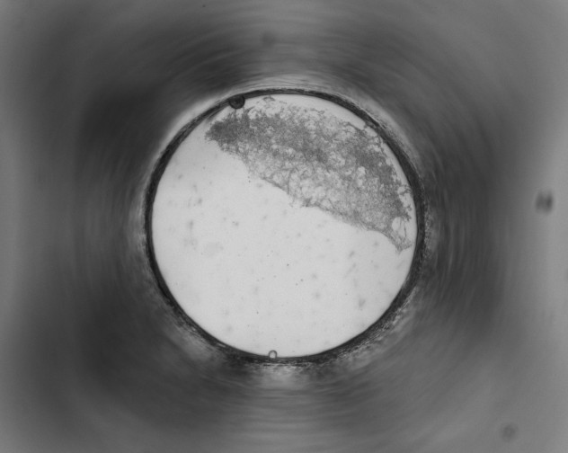 X0000102501230200809051338