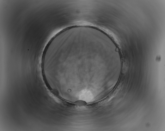 X0000102501231200809051338