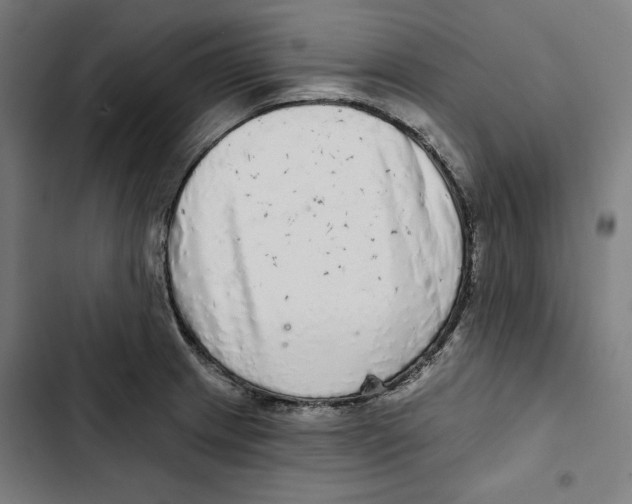 X0000102501233200809051338