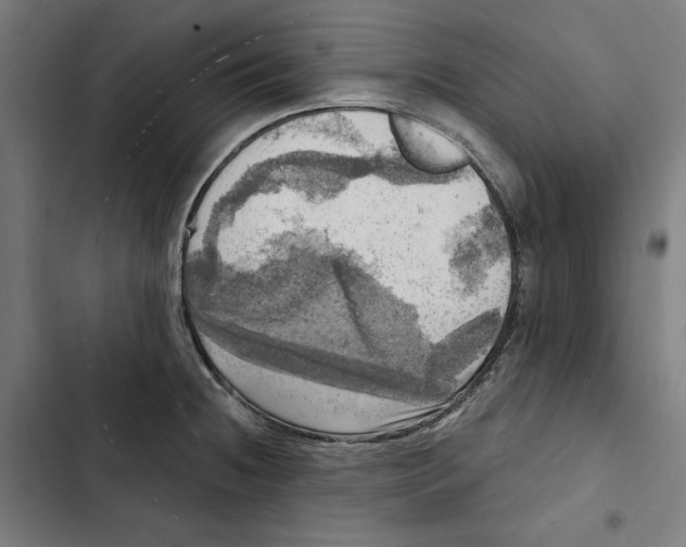 X0000102501236200809051338