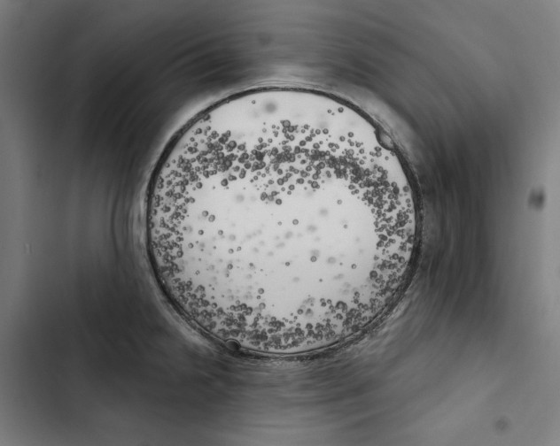 X0000102501238200809051338