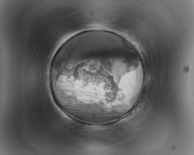 X0000102501239200809051338