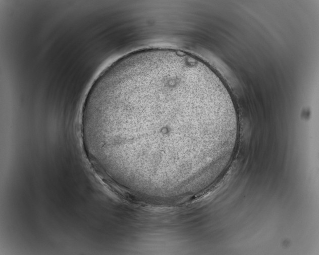 X0000102501240200809051338