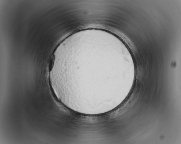 X0000102501241200809051338