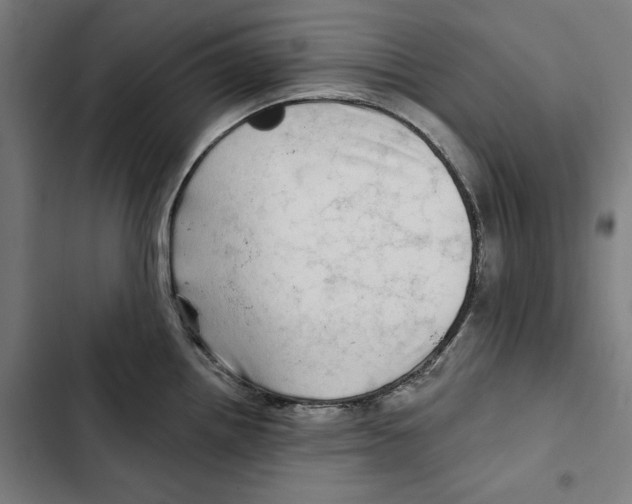 X0000102501242200809051338