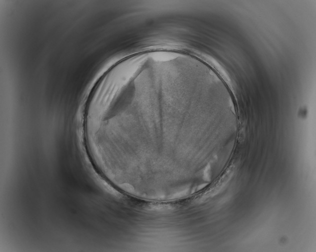 X0000102501243200809051338