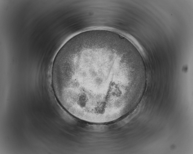 X0000102501244200809051338