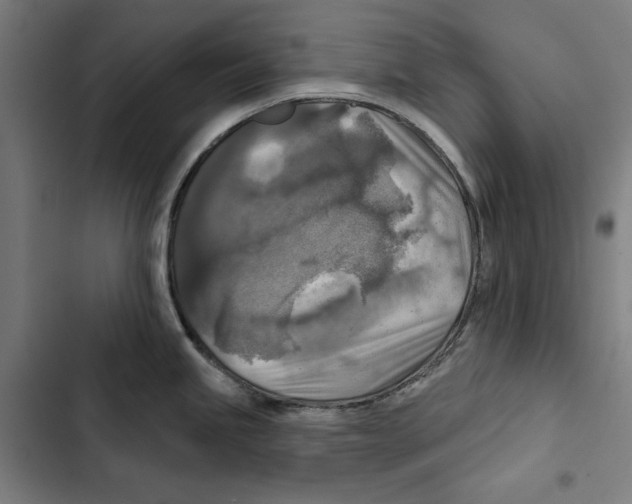 X0000102501245200809051338