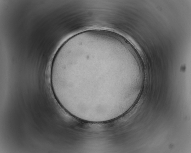 X0000102501246200809051338