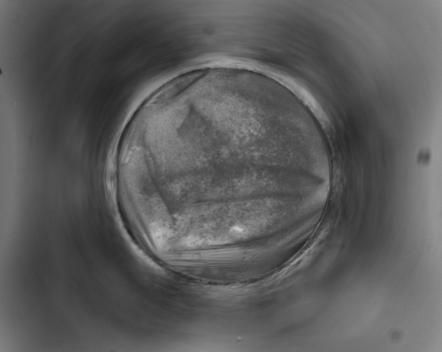 X0000102501247200809051338