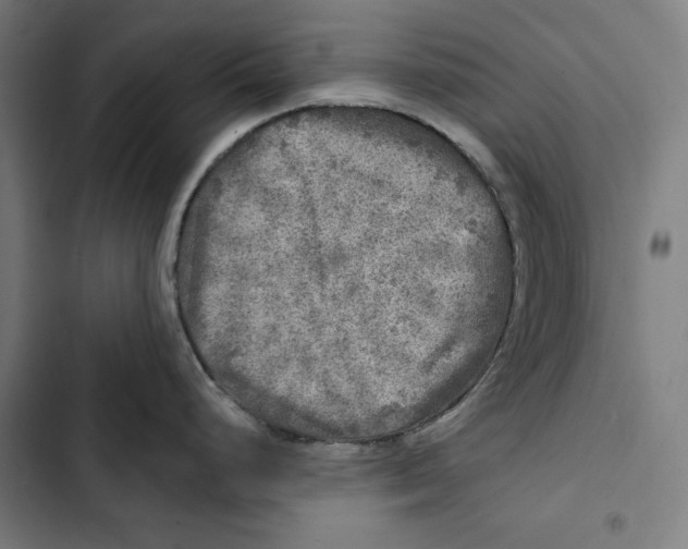 X0000102501248200809051338