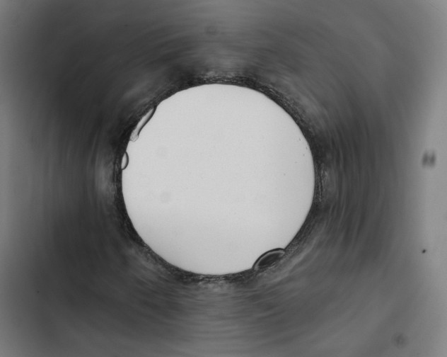 X0000102501250200809051337