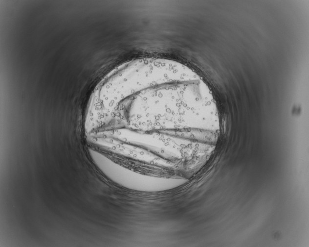 X0000102501251200809051337