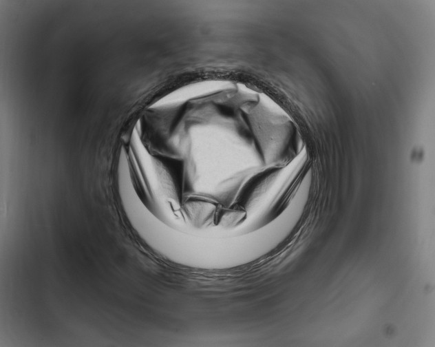 X0000102501252200809051337