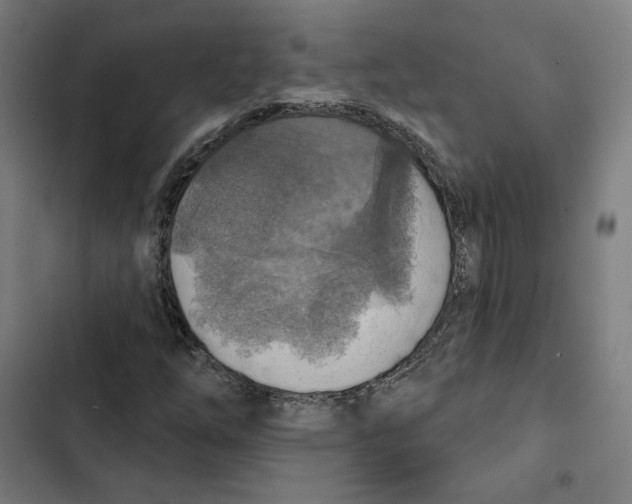 X0000102501254200809051337