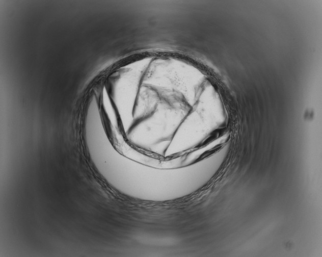 X0000102501255200809051337