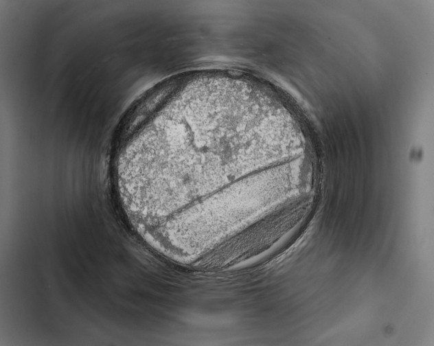 X0000102501259200809051337