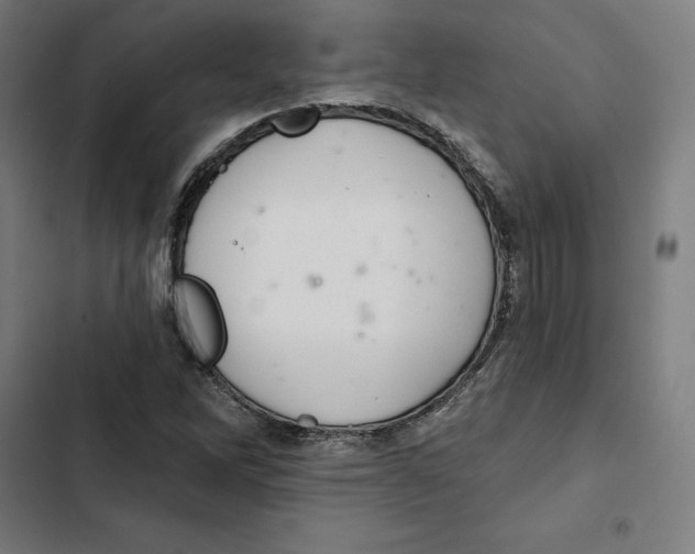 X0000102501262200809051337