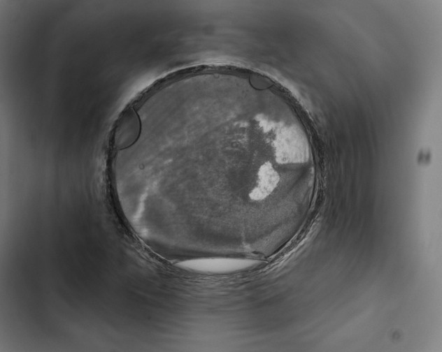 X0000102501263200809051337