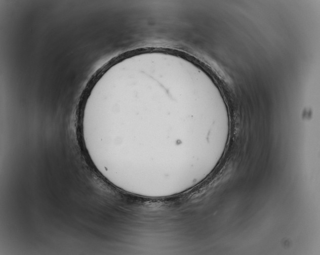 X0000102501264200809051337