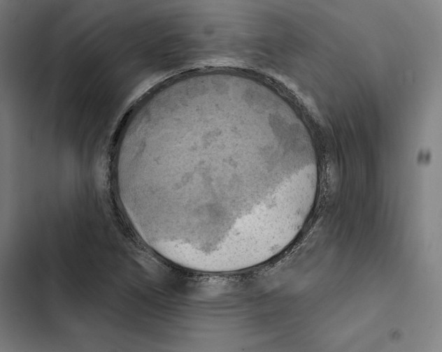 X0000102501266200809051337