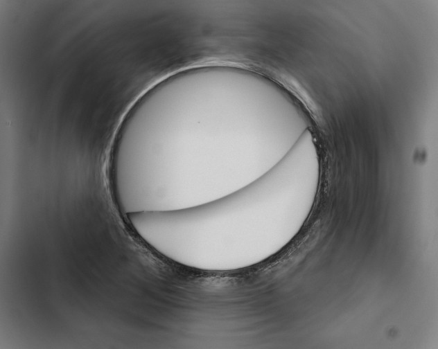 X0000102501268200809051337