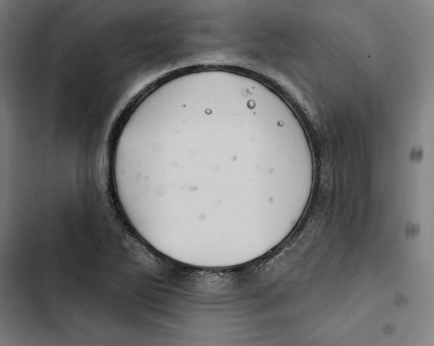 X0000102501270200809051337