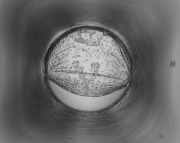 X0000102501271200809051337