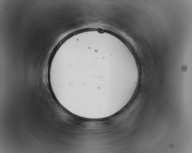 X0000102501272200809051337