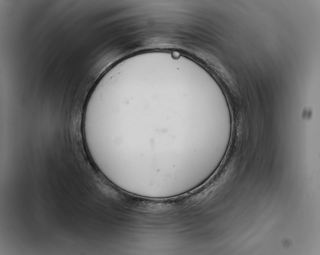 X0000102501273200809051337