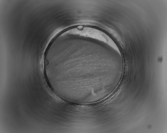 X0000102501275200809051337