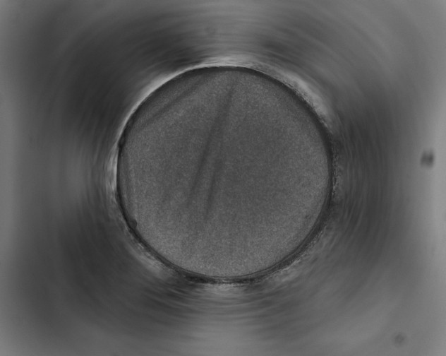 X0000102501276200809051337