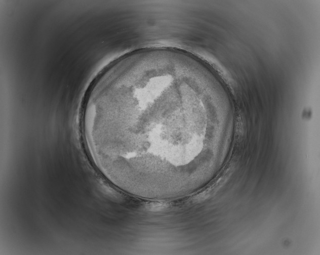 X0000102501278200809051337