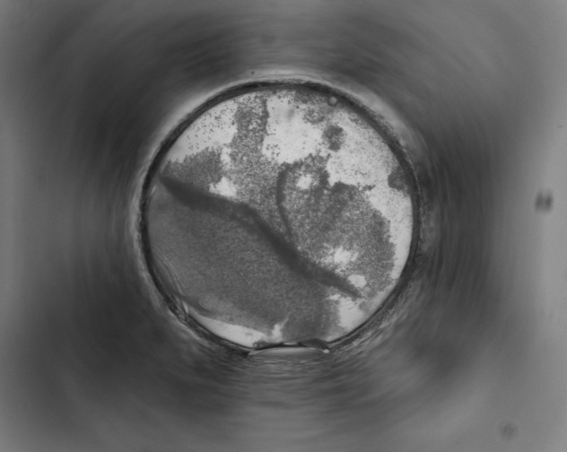 X0000102501279200809051337