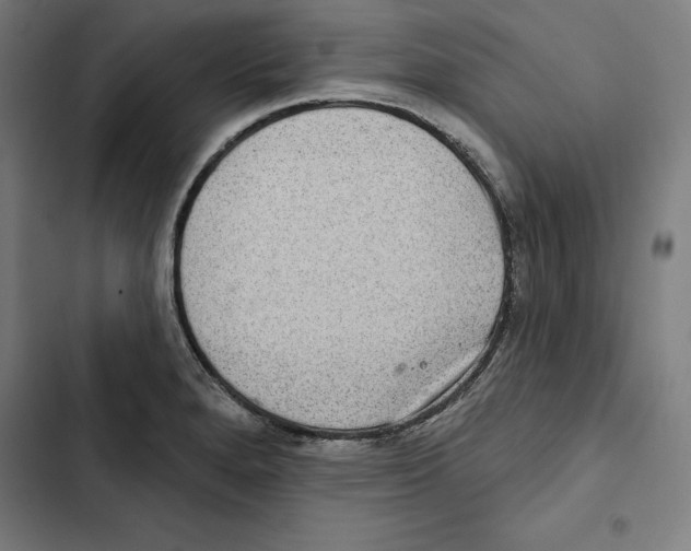 X0000102501280200809051337