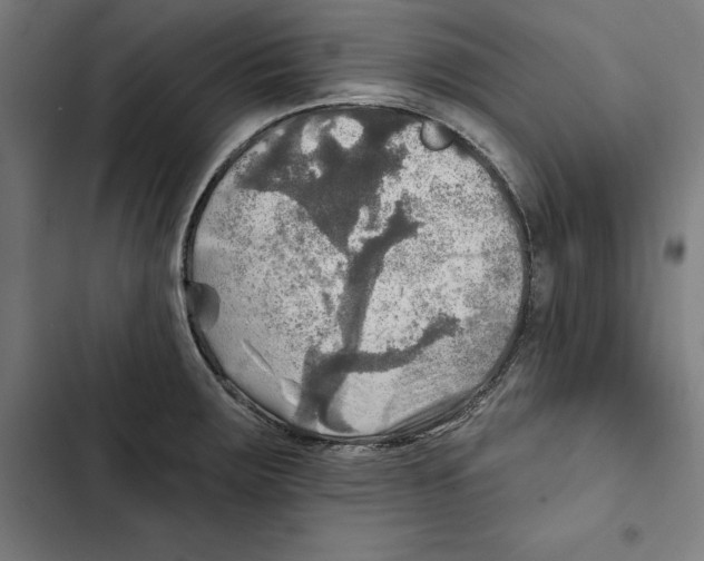 X0000102501283200809051337